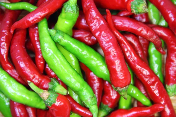 Red and green hot pepper background — Stock Photo, Image