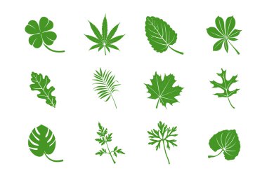 Green leaves clipart