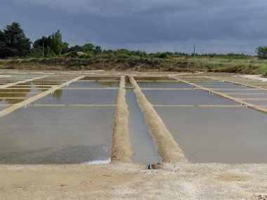 bağlantı noktası des salines oleron Adası Fransa