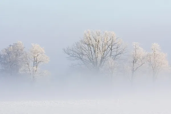 Inverno leitoso — Fotografia de Stock