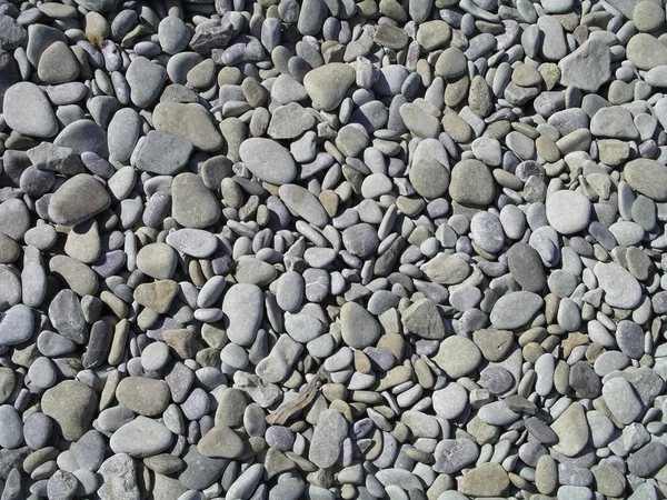 ビーチの石は — ストック写真