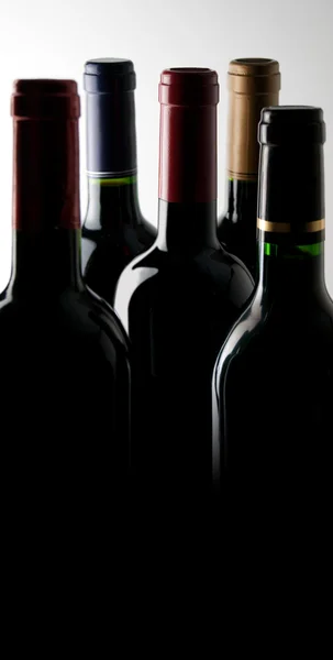 Garrafas de vinho no escuro — Fotografia de Stock