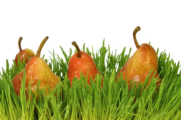 Rode peren in een groen gras op de witte geïsoleerde achtergrond — Stockfoto