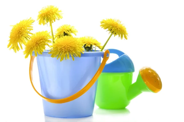 Dandelions and children's toys — Stock Photo, Image