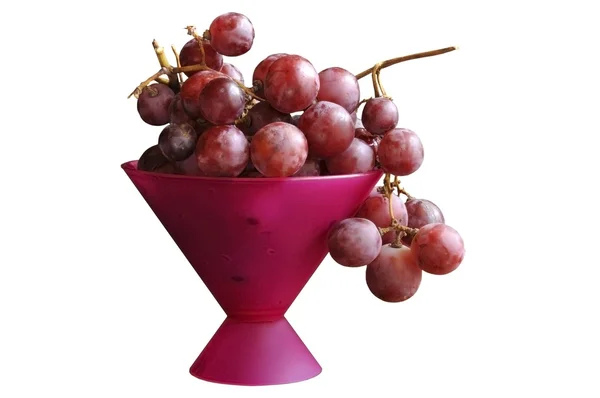 Ramo d'uva in un vaso — Foto Stock