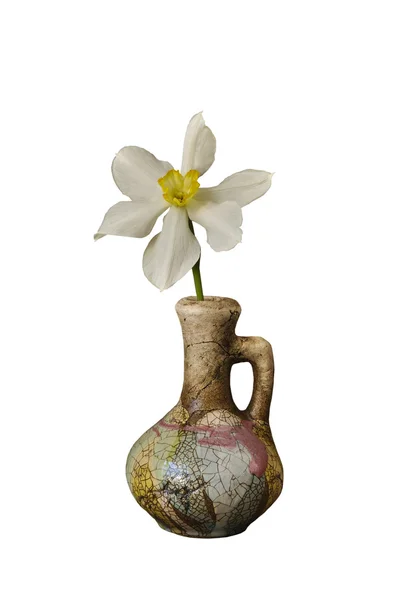 Narcissus in a ceramic jug — Stock Photo, Image
