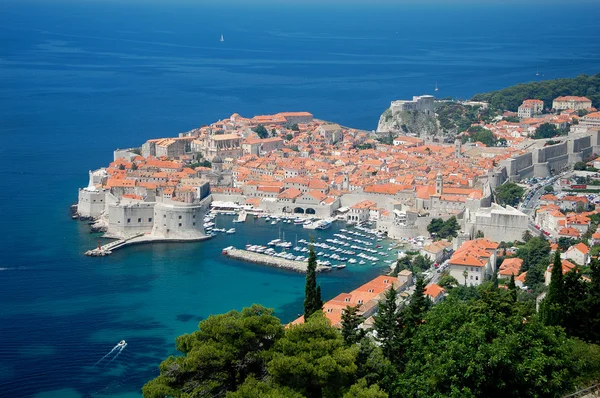 Vieille ville de Dubrovnik — Photo