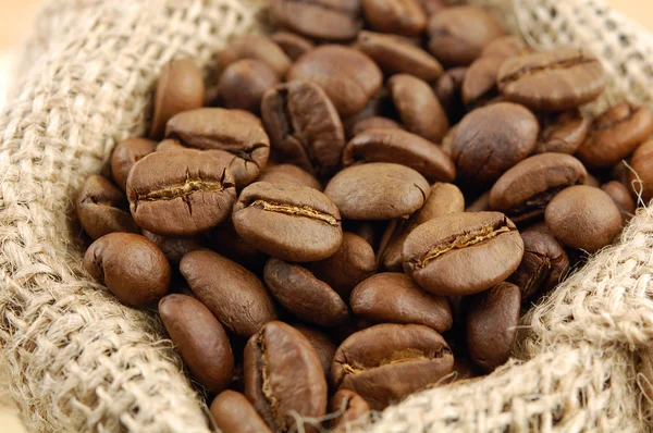 Coffee beans Stock Picture