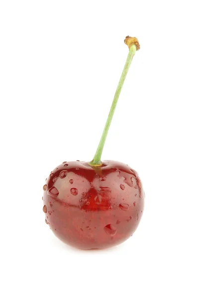 Świeża wiśnia słodka — Zdjęcie stockowe