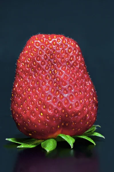 stock image Strawberry