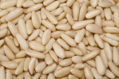 Pine nuts background clipart