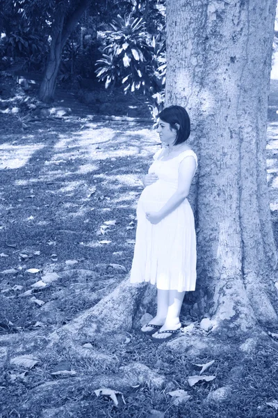 Těhotná žena drží bříško Přeji všechno jde dobře v — Stock fotografie