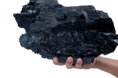 Male hand holding a big lump of coal clipart