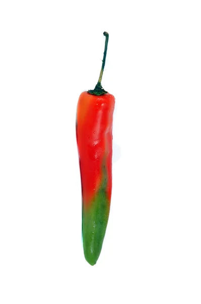 Um chili com gradação vermelha a verde na cor — Fotografia de Stock