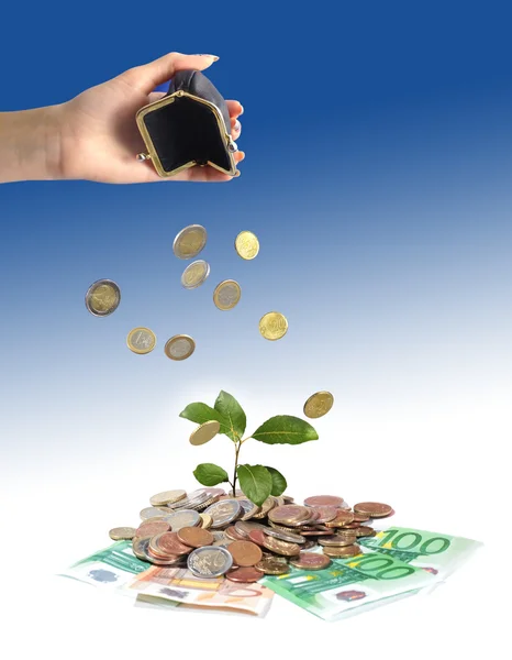Plants, coins and hand with coin. — Stock Photo, Image