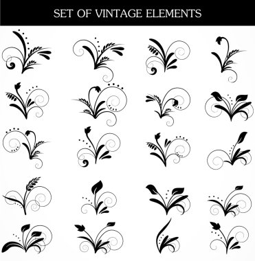 Vector set of design elements