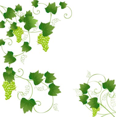 Frame with grapes clipart