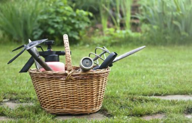 Gardening tools (hoe, splash pad, garden pruner ect) in a basket clipart