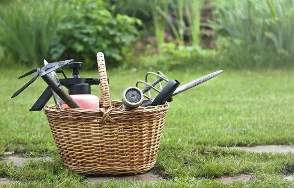 Ferramentas de jardinagem (enxada, almofada de respingo, poda de jardim) em uma cesta — Fotografia de Stock