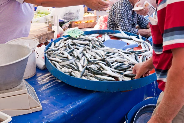 stock image Selling fish at a bazar