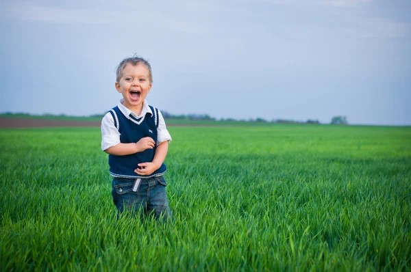 Прекрасный маленький мальчик, стоящий в траве — стоковое фото