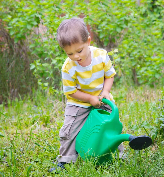 Мальчик в саду — стоковое фото