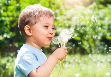 Boy With Dandelion clipart