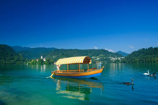Barco colorido no Lago Bled. Eslovénia — Fotografia de Stock