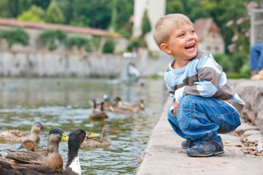 Cute little boy feeding ducks clipart