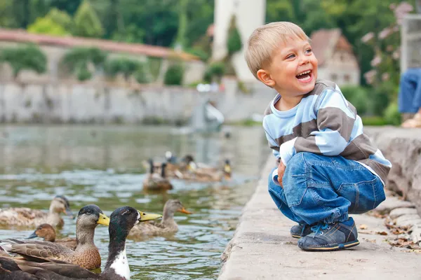 Cute little boy feeding ducks — Stock Photo, Image