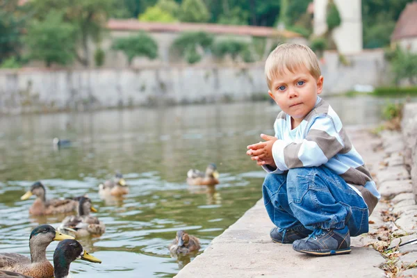 Schattige kleine jongen voederen van eenden — Stockfoto