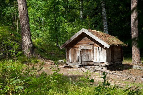 stock image House of forester