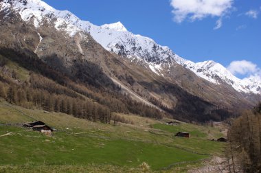 Alpine pastures in Italy clipart