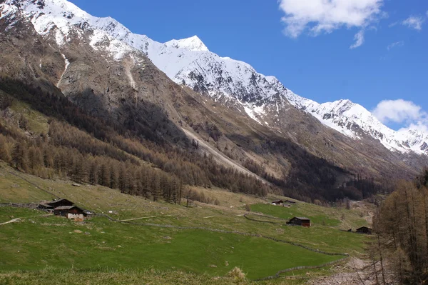 Alpine pastures in Italy — Stock Photo, Image