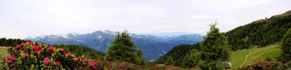 Mountainworld em Tirol do Sul Imagem De Stock