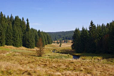 Hiking in the Erzgebirge, Germany-3 clipart