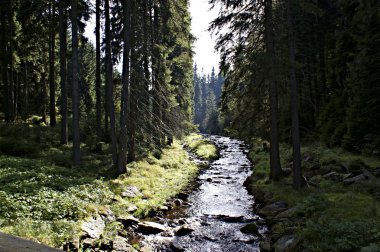 erzgebirge zammı Almanya-10