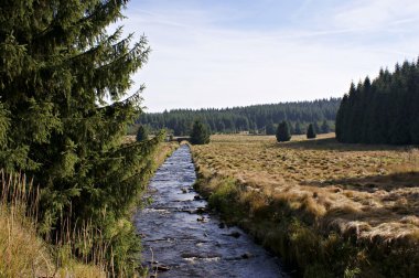 hiking içinde erzgebirge, Almanya-11