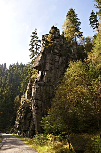 Hiking in the Erzgebirge, Germany-4 — Stock Photo, Image