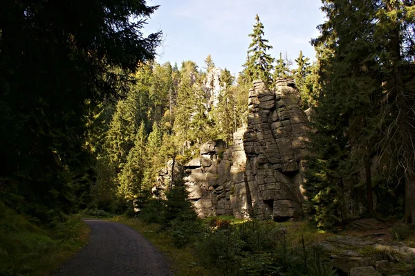 Hiking içinde erzgebirge, Almanya-9 — Stok fotoğraf