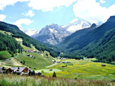 In Reintal in South Tyrol clipart