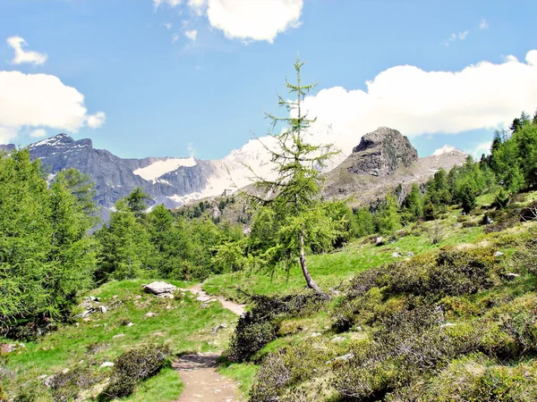 Hike to the Kassel Hut — Stock Photo, Image