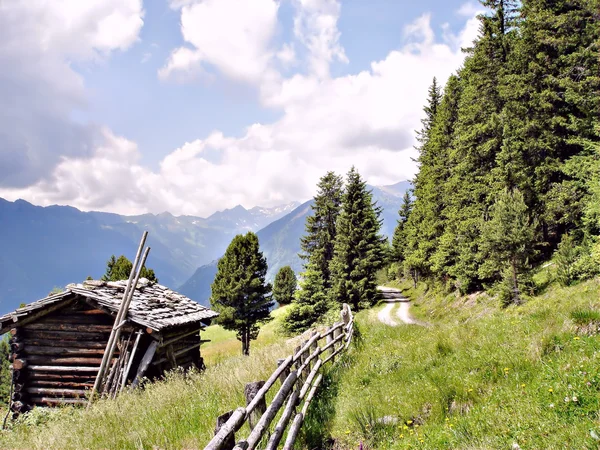 Alpine idyll in South Tyrol — Stock Photo, Image