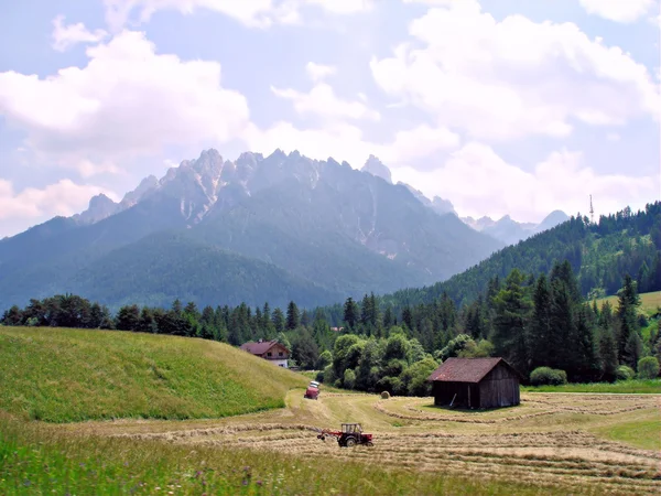 산에서 건초 수확 — 스톡 사진