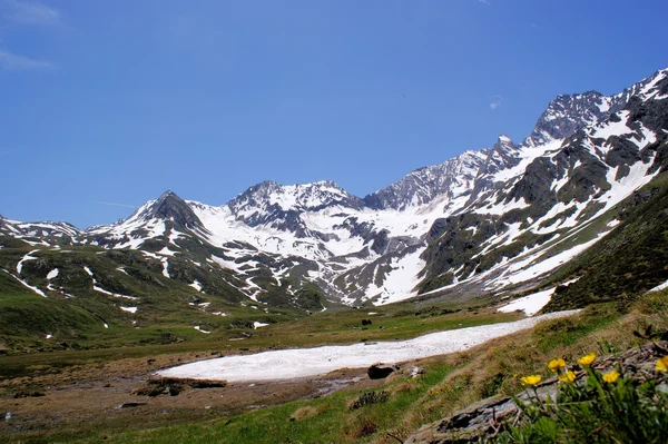 Tavasz az Alpokban — Stock Fotó
