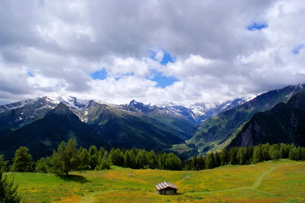 Pastagens e montanhas alpinas — Fotografia de Stock
