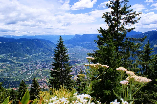 Zobrazit v etschtal v Jižním Tyrolsku — Stock fotografie