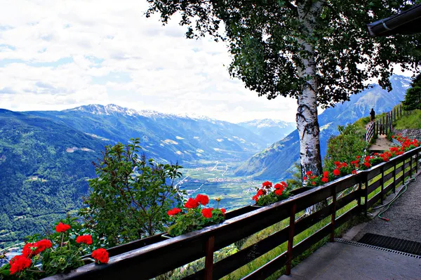 Údolí etsch v Jižním Tyrolsku — Stock fotografie