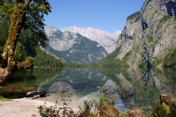 Bergsee umgeben von den Alpen — Stockfoto