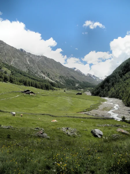 Sommer in Südtirol — Stockfoto
